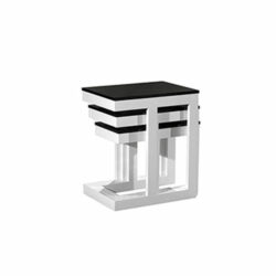 Клуб маса Инекс 11/3