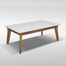 Клуб маса 020