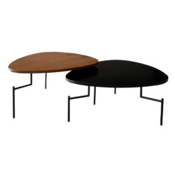 Клуб маса Дариа